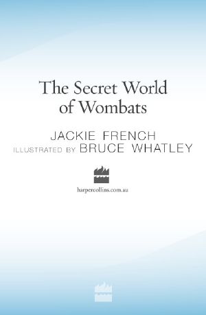 [Wombat 01] • The Secret World of Wombats